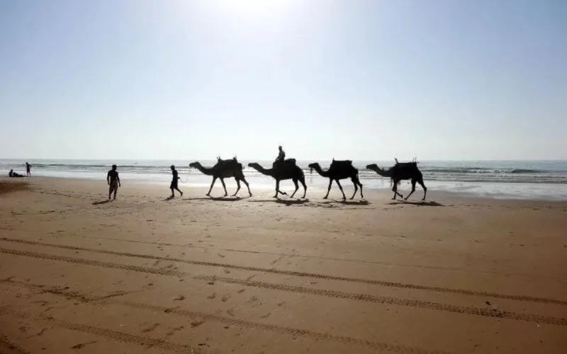 Météo : temps très chaud prévu ce jeudi au Maroc (43 degrés)