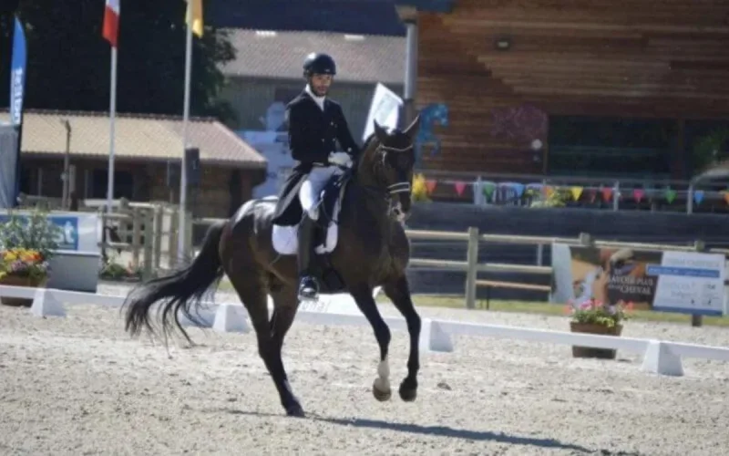 Belgique : accusé de viol sur mineures, un ex-champion du Maroc de dressage risque gros