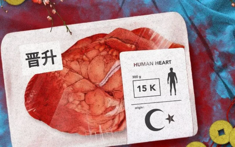 En Chine, des organes "halal" de prisonniers musulmans vendus à de riches clients du Golfe