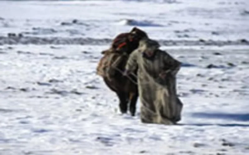 Mohamed Asli primé au Festival du film de Manille