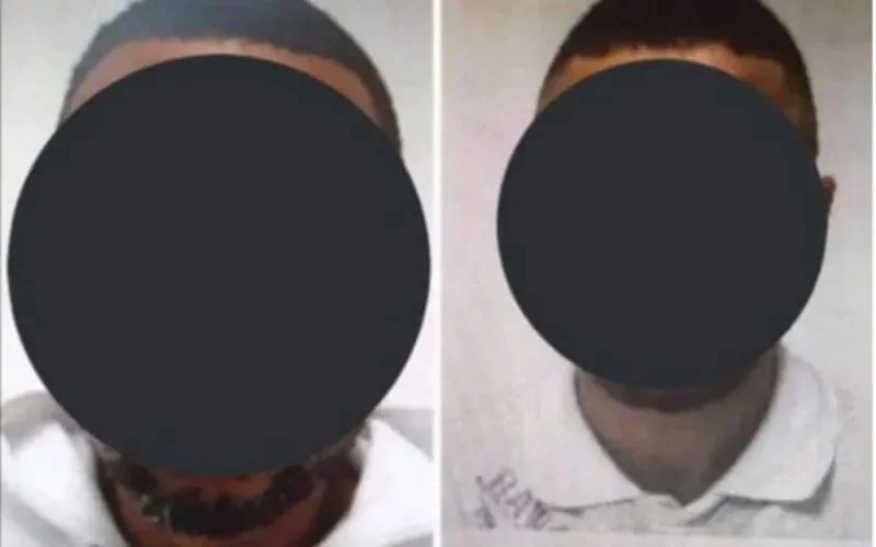 Chauffeur de bus tué à Bayonne : un jeune homme accusé par le RN porte plainte 