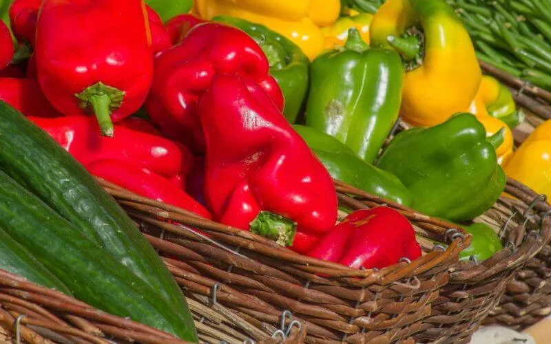 Les poivrons marocains prisés en Espagne