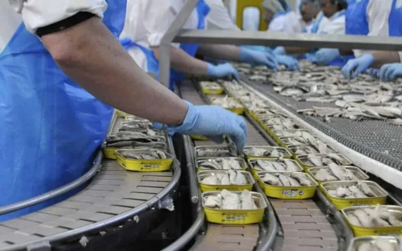 Conserveries fermées à Safi : les syndicats demandent l'ouverture d'une enquête 