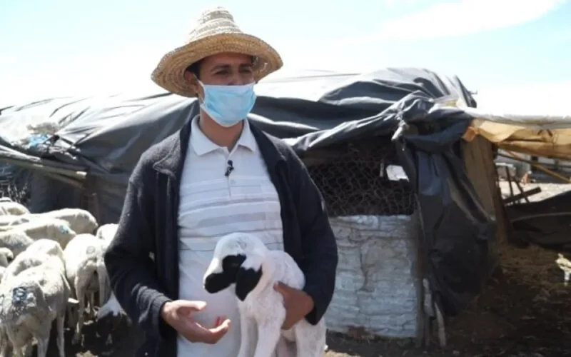 Aïd Al-Adha : voici des recommandations utiles en ces temps de Covid-19