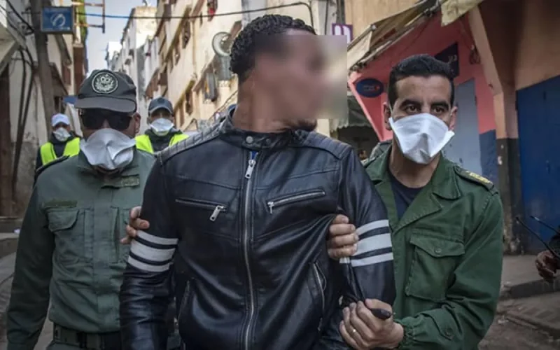 Casablanca : des voleurs de moutons arrêtés