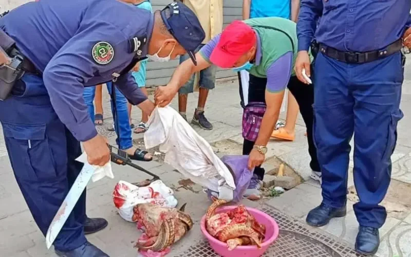 Aïd Al Adha 1441 : comment conserver la viande du mouton (Vidéo)