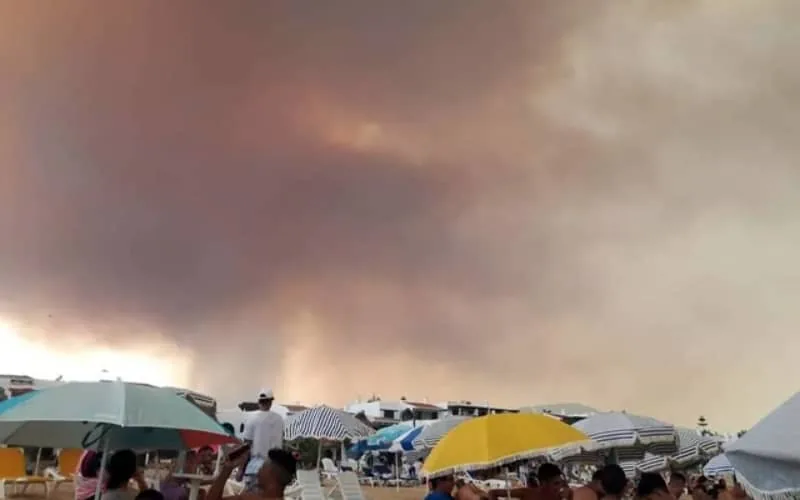 Maroc : incendie près de Fnideq, 50 hectares partent en fumée