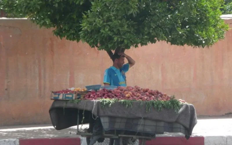 L'économie marocaine perd 589 000 postes au deuxième trimestre de 2020