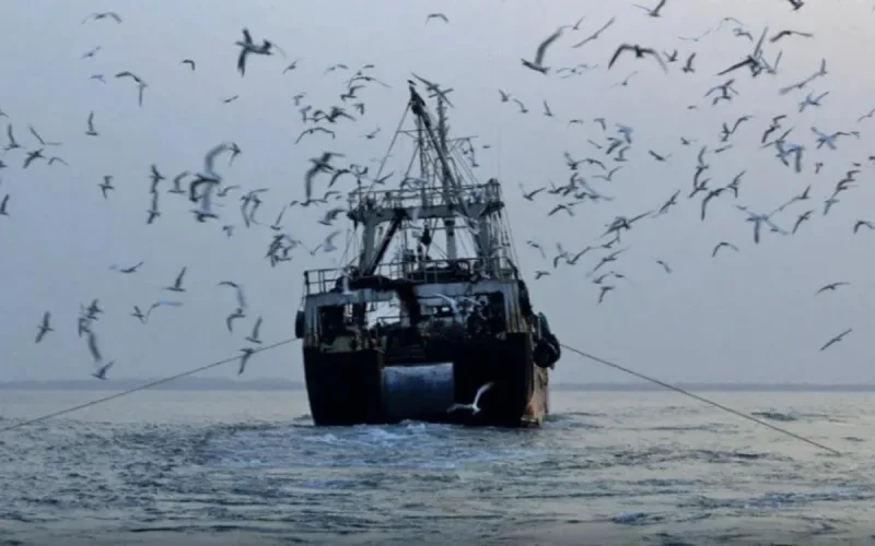 Pêche : des bateaux chinois dans les eaux marocaines