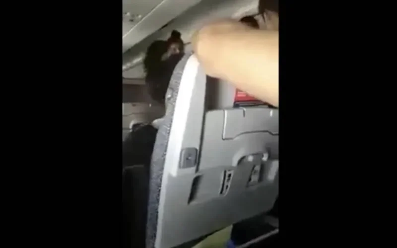 Bagarre en plein vol (vidéo)