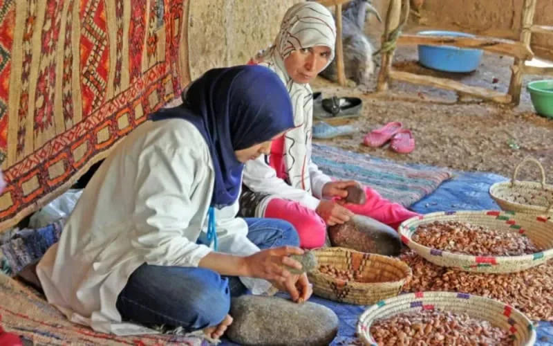  L'arganier marocain résiste à la concurrence israélienne