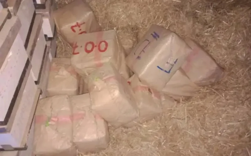 Arme et drogue saisis à Laâyoune, deux arrestations