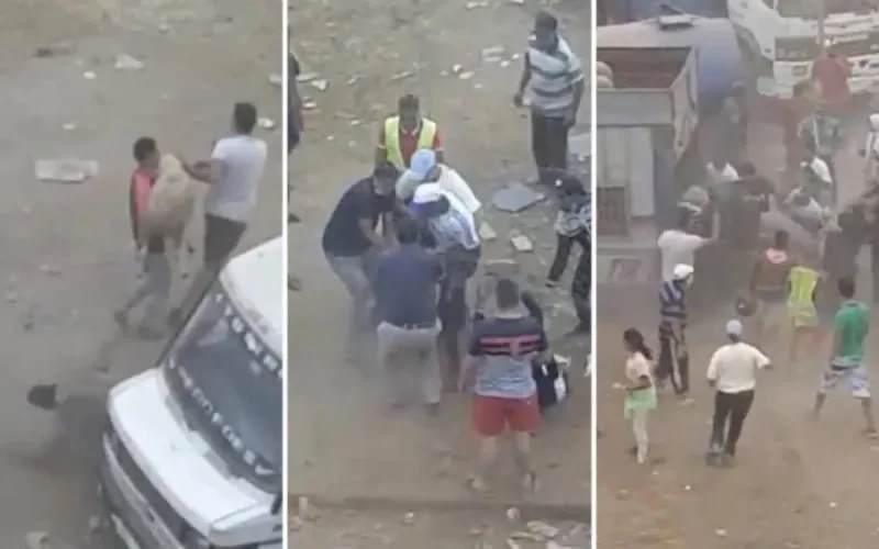 Maroc : l'enquête sur le vol de moutons à Casablanca avance (reportage)