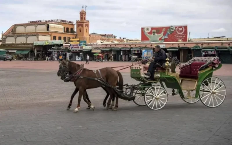 La récession au Maroc sera bien pire que prévu en 2020