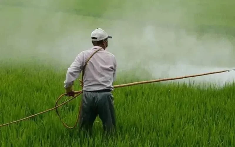 Le Maroc contrôle les pesticides utilisés dans l'agriculture