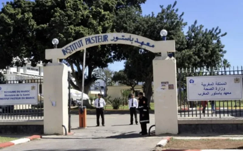 Covid-19 : l'Institut Pasteur du Maroc n'est pas en rupture de stock