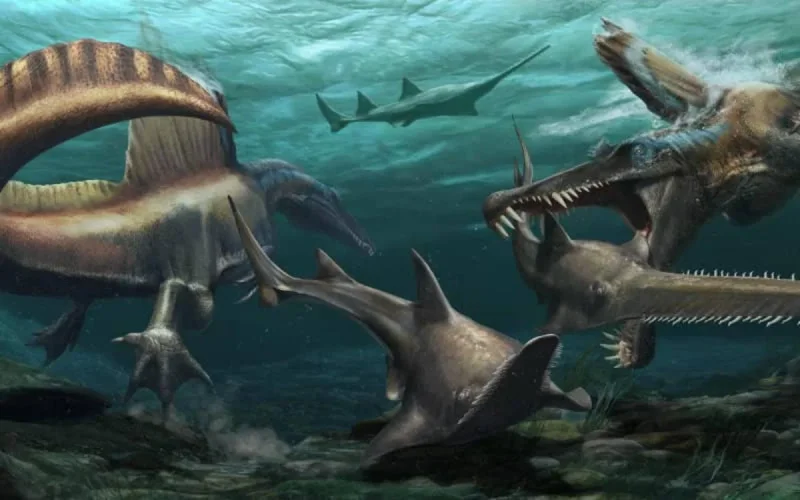 Le Spinosaurus aegyptiacus découvert au Maroc vivait dans l'eau