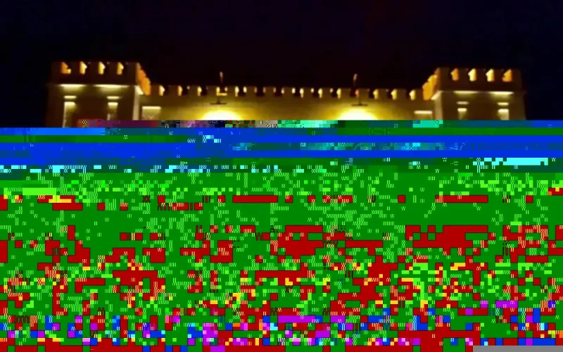 Plus de 12 000 personnes arrêtées à Fès en 10 jours