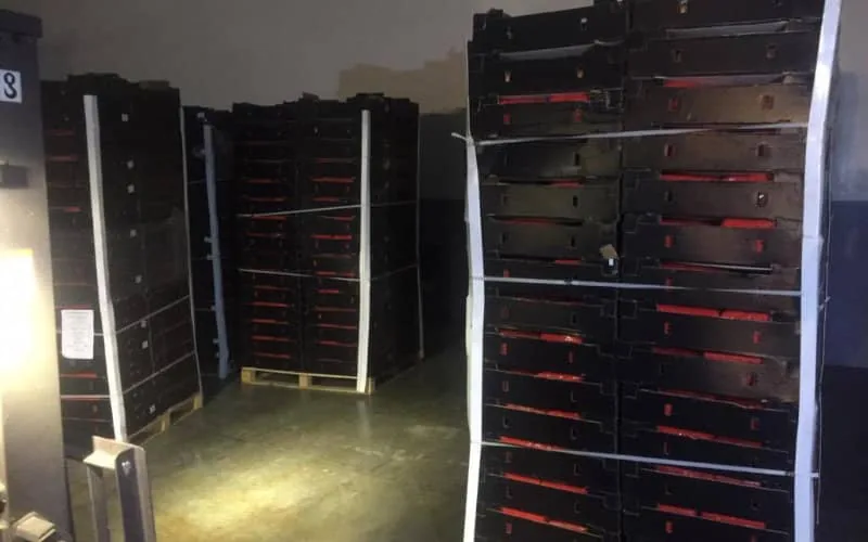 Opération anti-drogue à Tanger-Med, 11 tonnes saisies