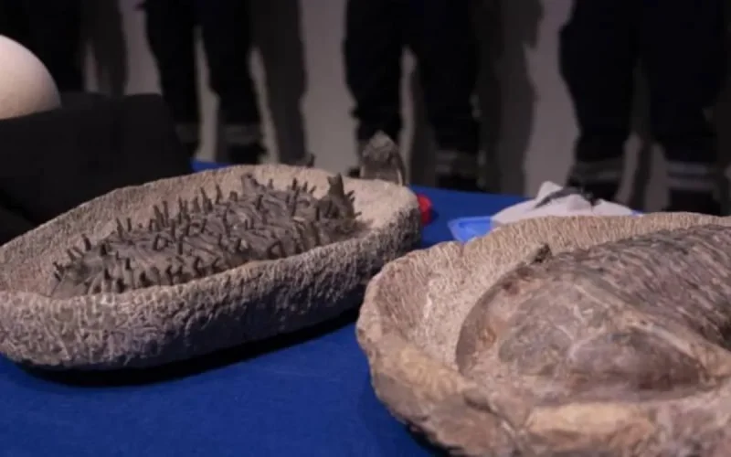 Près de 25 000 pièces archéologiques rares saisies en France retrocédées au Maroc