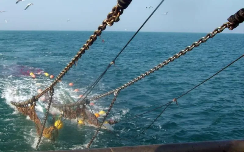 Maroc : l'utilisation du chalut de fond pour la pêche interdite