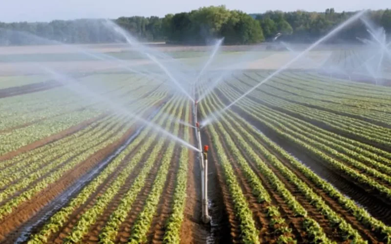 Maroc : le ministère de l'Agriculture en guerre contre l'urbanisation incontrôlée