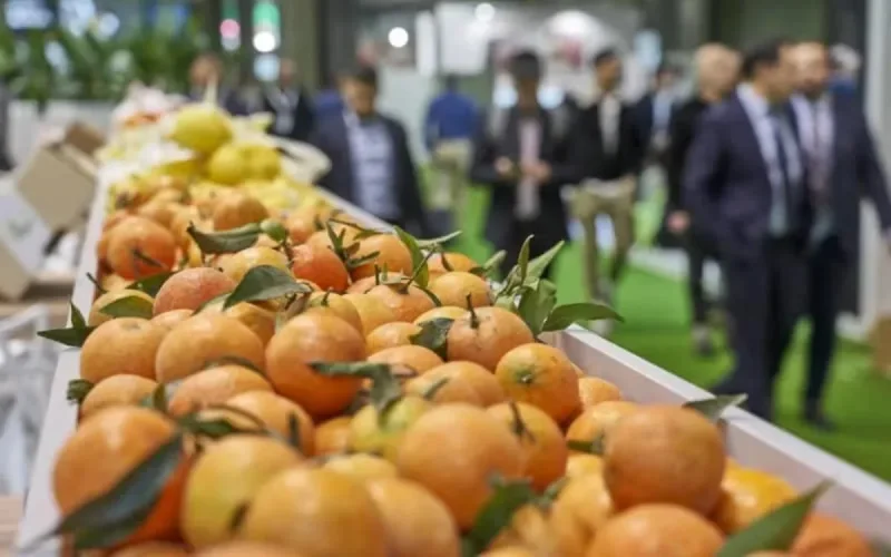 Le Maroc, gros pourvoyeur de denrées de base en Afrique de l'ouest