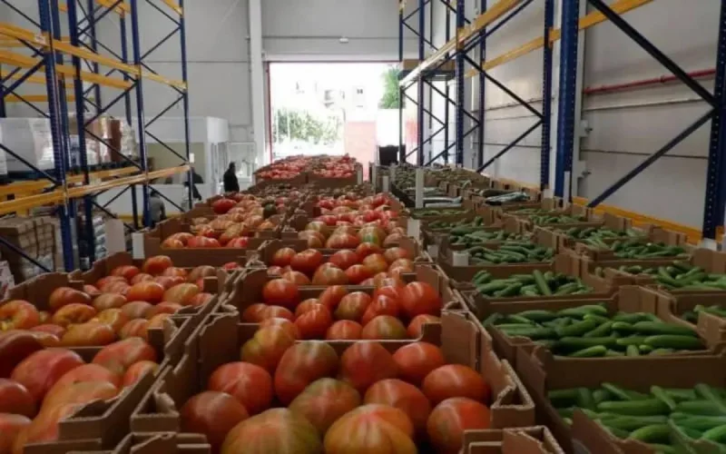 Moins cher, les fruits et légumes marocains inquiètent les producteurs espagnols