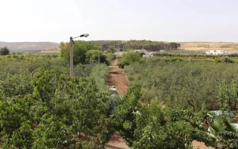 Maroc : 17 ans de prison pour avoir volé un terrain