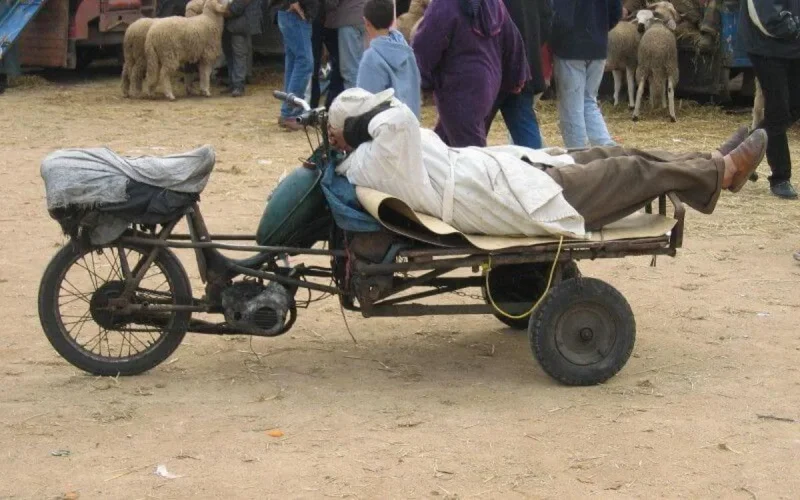 Marché du travail :près d'un million et demi de Marocains au chômage