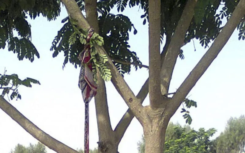 Benslimane : un conseiller communal et son fils maquillent un meurtre en suicide