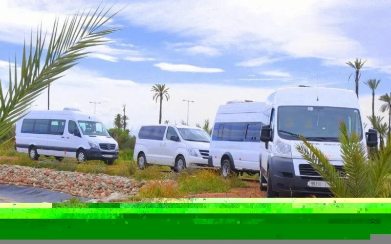 Voici ce que proposent les professionnels du transport touristique pour la relance de leurs activités 