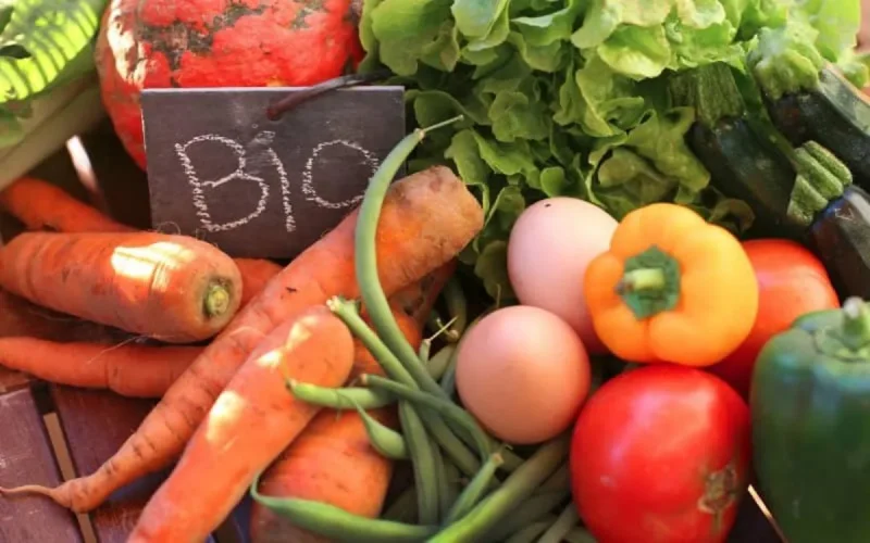 Le bio marocain très prisé au Canada