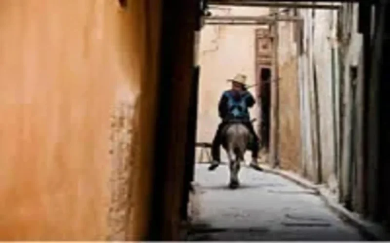 “Il faut couper les mains des fraudeurs et des voleurs”