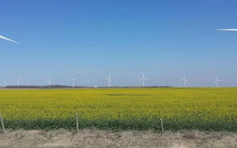 Vers la production de l'hydrogène vert au Maroc