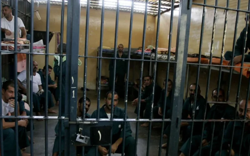 Lueur d'espoir pour les Marocains détenus en Syrie et en Irak