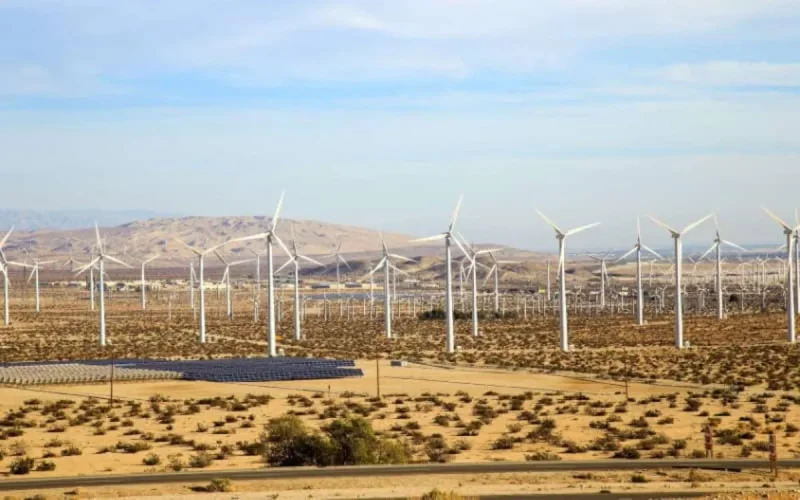 Un parc éolien à 15 milliards de dirhams à Dakhla
