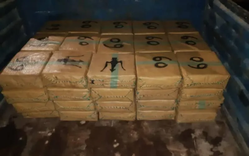 Tanger Med : 650kg de drogue saisis dans une voiture se rendant en France