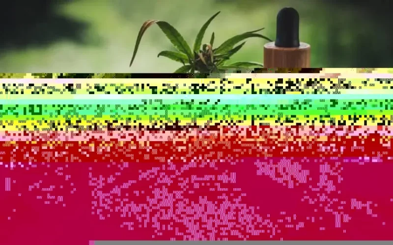 Cosmétiques à base de cannabis, un business insoupçonné pour le Maroc