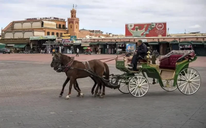 La crise sanitaire aura de graves répercussions sur l'économie marocaine