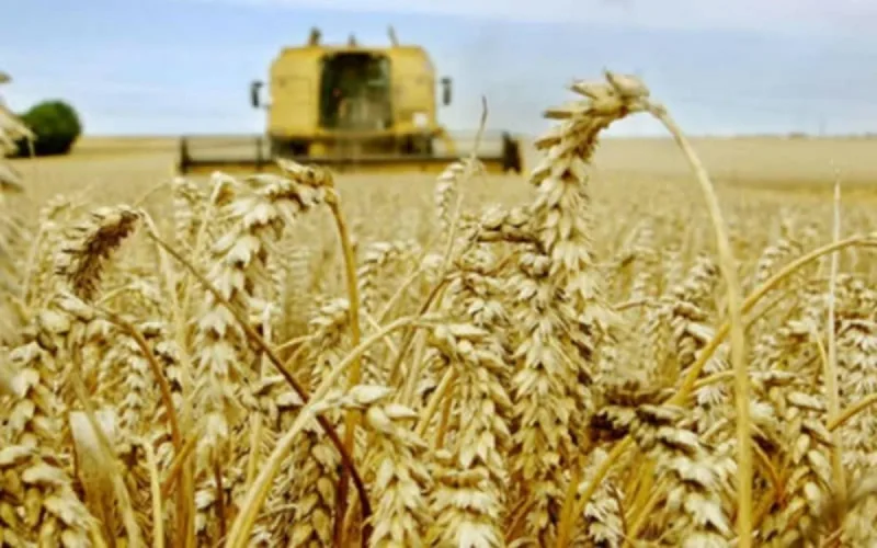 Les agriculteurs marocains retrouvent le sourire