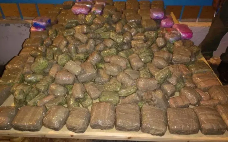 Ils utilisent des voitures de location pour distribuer la drogue à Marrakech