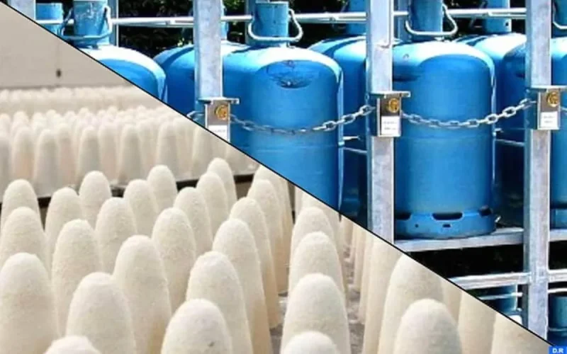 Maroc : baisse des subventions pour le gaz butane et le sucre en 2020