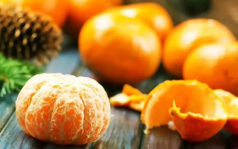 Les fruits et légumes marocains de nouveau dans le viseur du lobby agricole espagnol