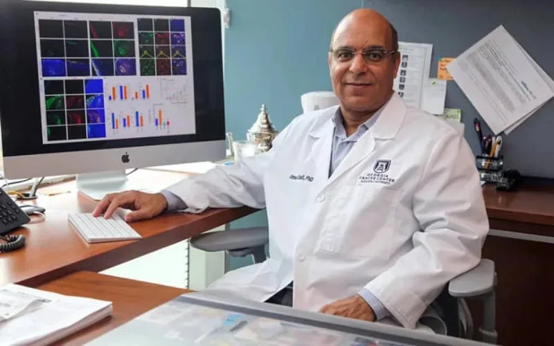 Découverte d'un composé isolé d'un champignon marocain capable de combattre le cancer du sein