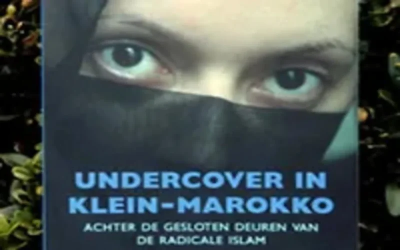 Hind Fraihi : "En sous-marin dans le petit Maroc"