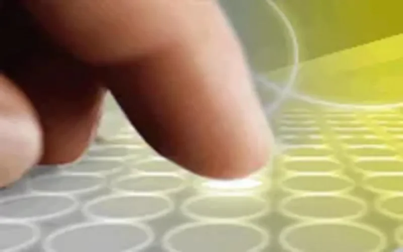 MRE : création d'entreprise en 24h