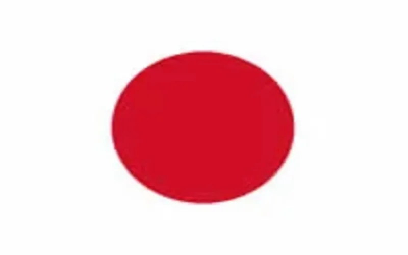 Grosse délégation nippone au Maroc