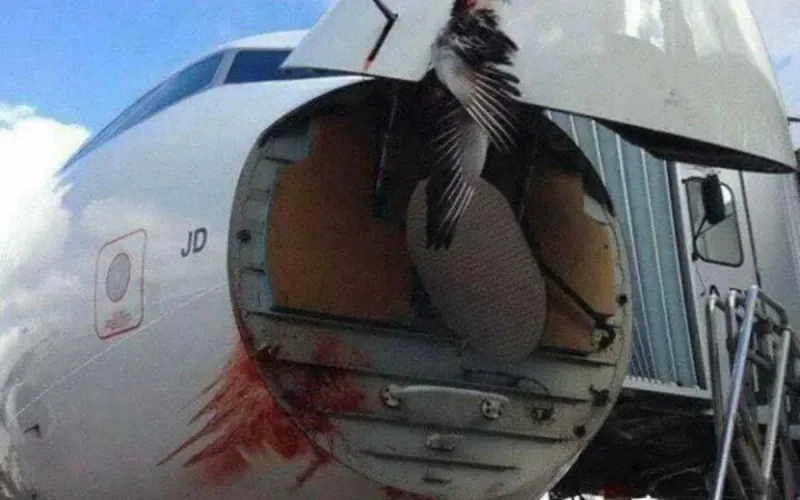 Atterrissage d'urgence à Roissy pour un vol Air Arabia Maroc