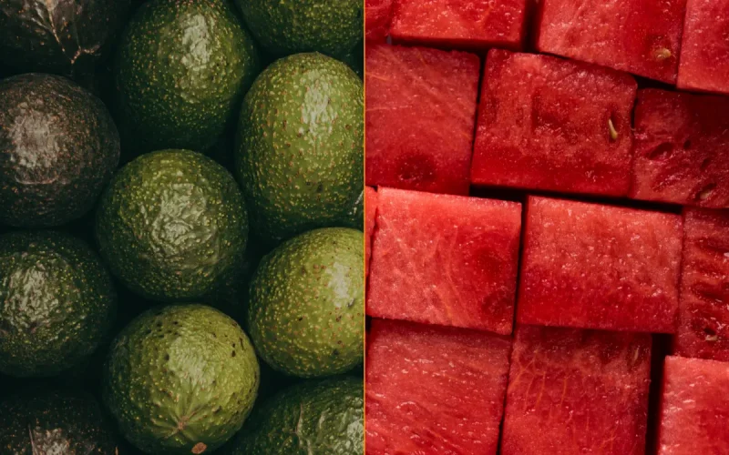 Pastèques, avocats : le Maroc bouscule les producteurs espagnols, et ça ne plaît pas à tout le monde